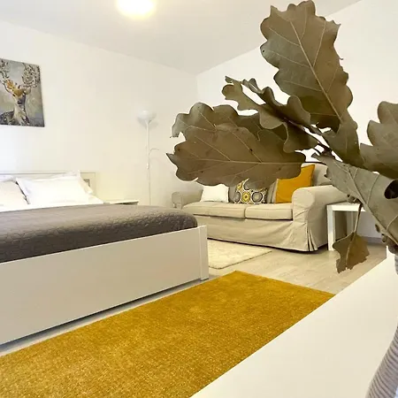 Apartment Bartolomeu Serenity Brasov